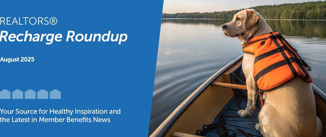 Recharge Roundup – August 2025